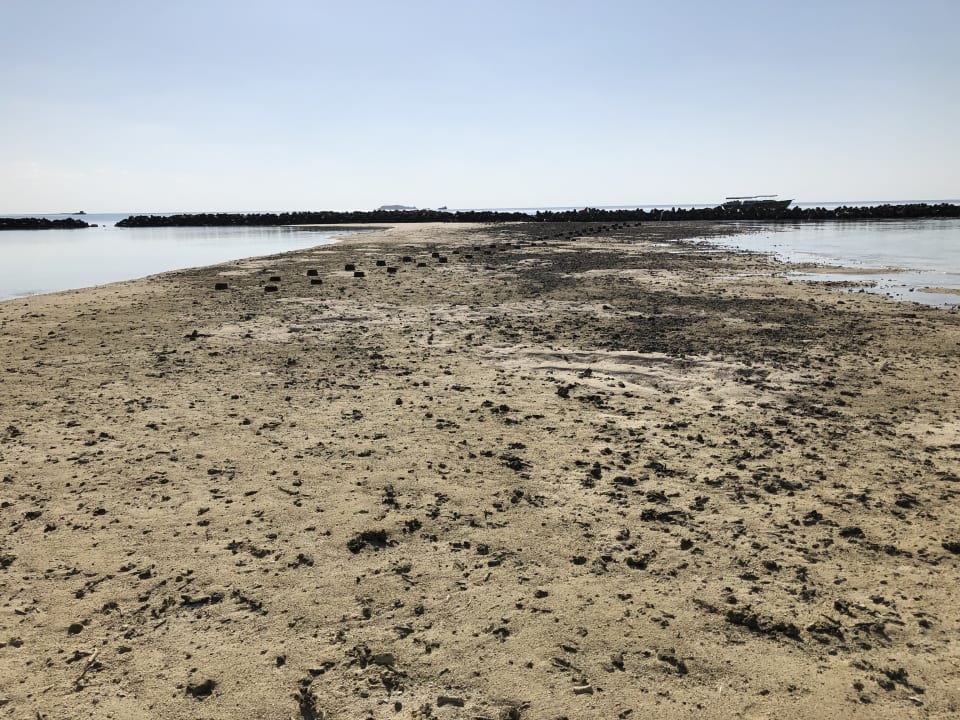 Strand Summer Island Maldives