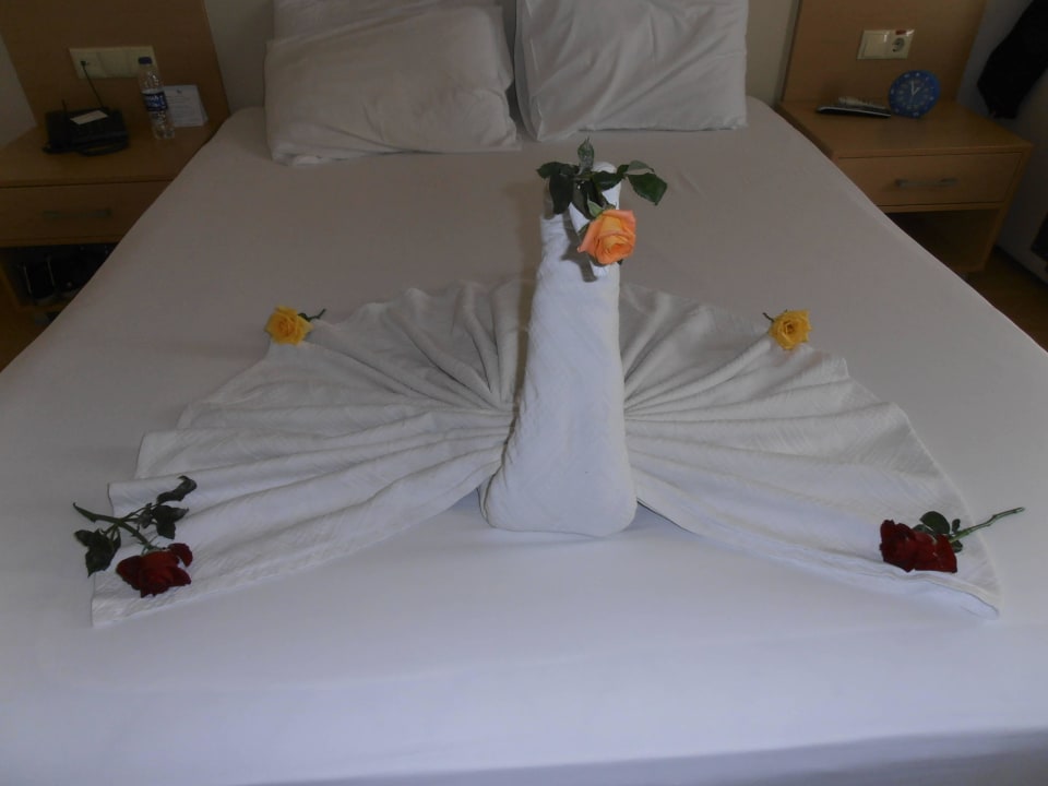 Gemacht von der Zimmerreinigung. Toll Solivia Hotel