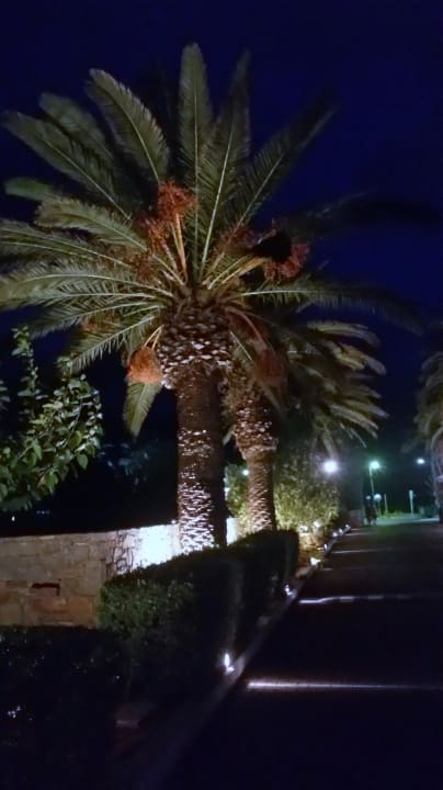 Gartenanlage Phãea Cretan Malia