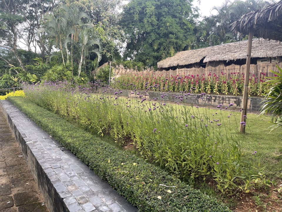 Gartenanlage Hotel Panviman Chiang Mai Spa Resort