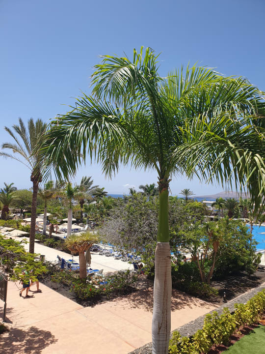 Ausblick Hotel Costa Calero