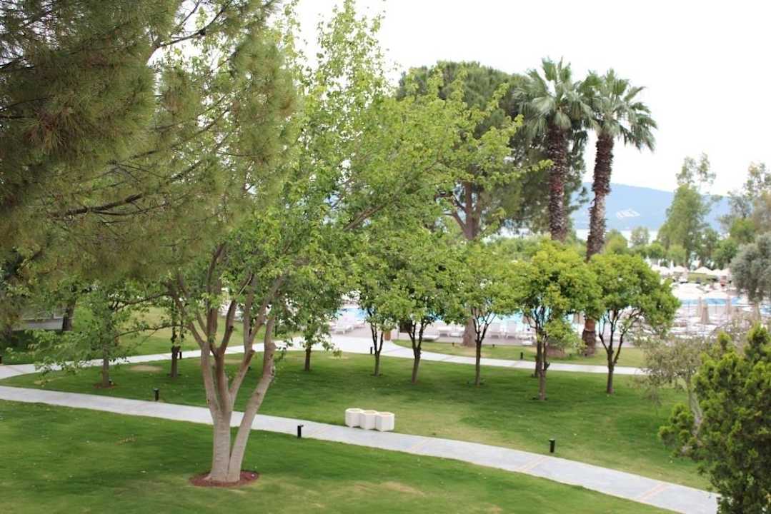 Bild von Block B 1.OG Zimmer 242 Asteria Venus Didim