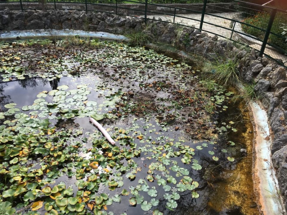 Zasyfiony staw Sentido Apollo Palace