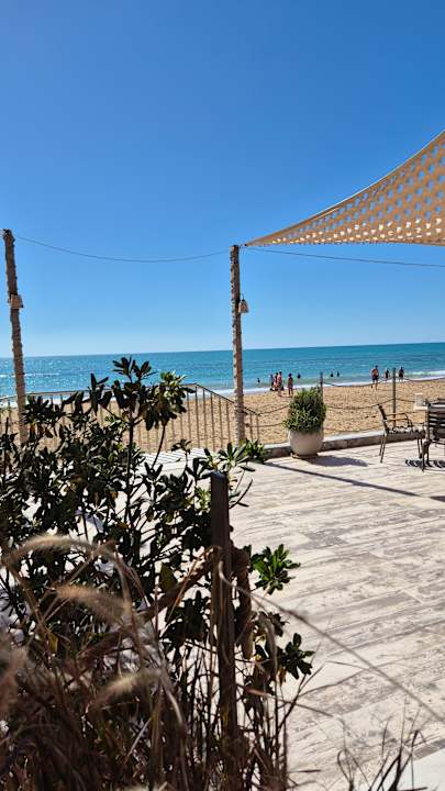 Strand Seashell Vega