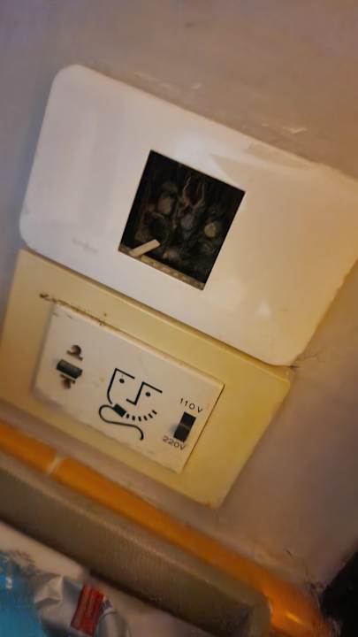 Zimmer Sheraton Samui Resort