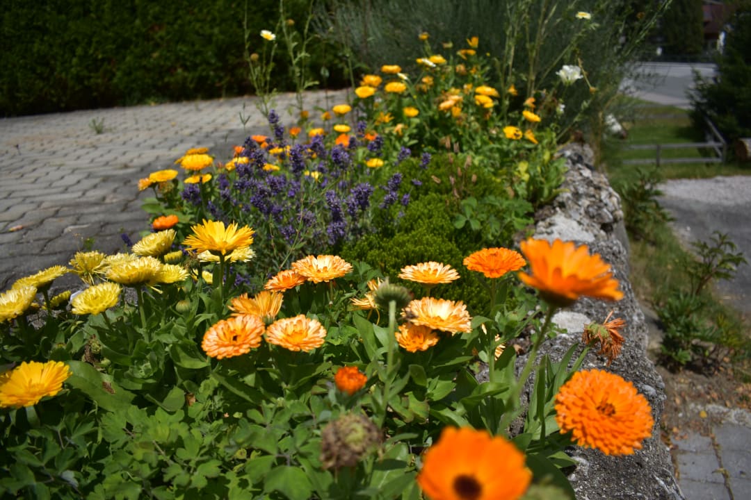 Gartenanlage Hotel Vitaler Landauerhof