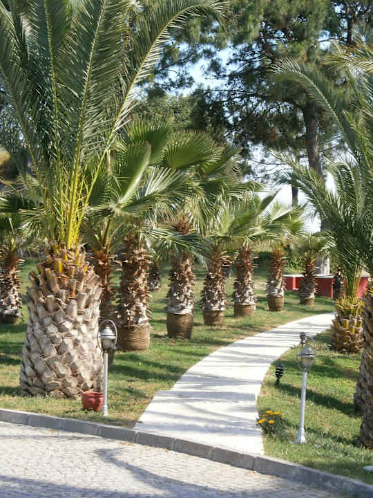 Alles toll gepflegt X Life Hotel Sarıgerme