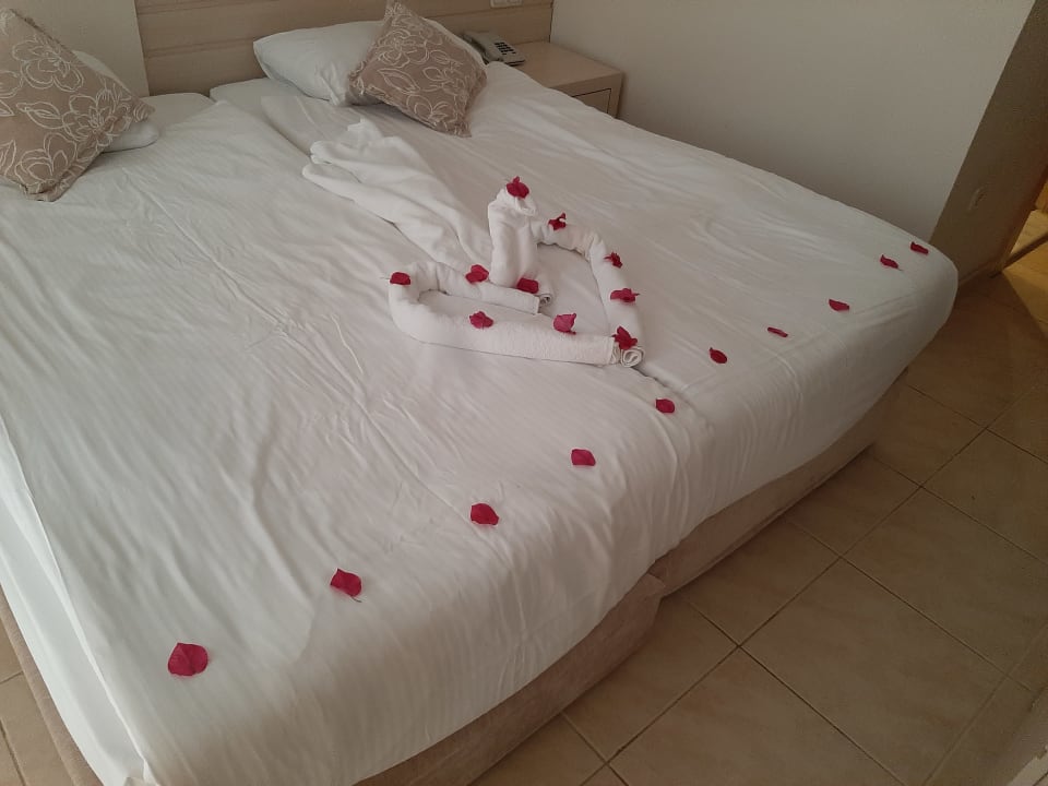 Zimmer Seaden Corolla Hotel
