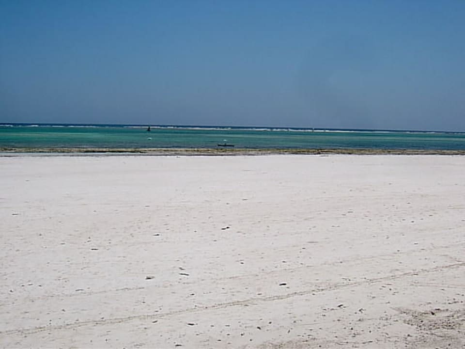 Ebbe Hotel Safari Beach