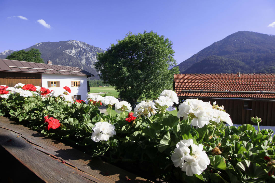 Ausblick Schifterhof Ruhpolding