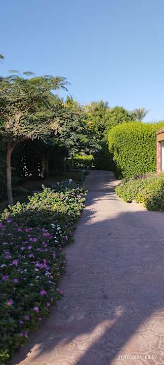 Gartenanlage Desert Rose