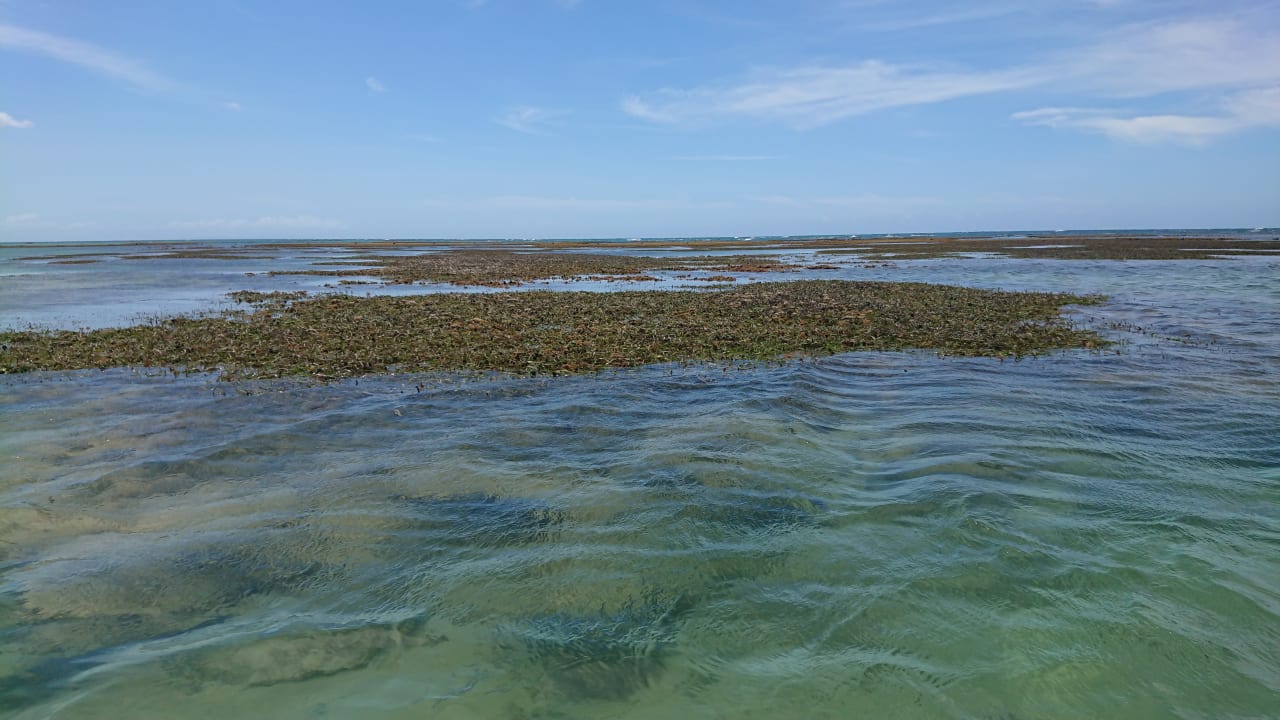 Strand Bahia Principe Grand El Portillo