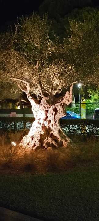 Ausblick Hotel Exagon Park