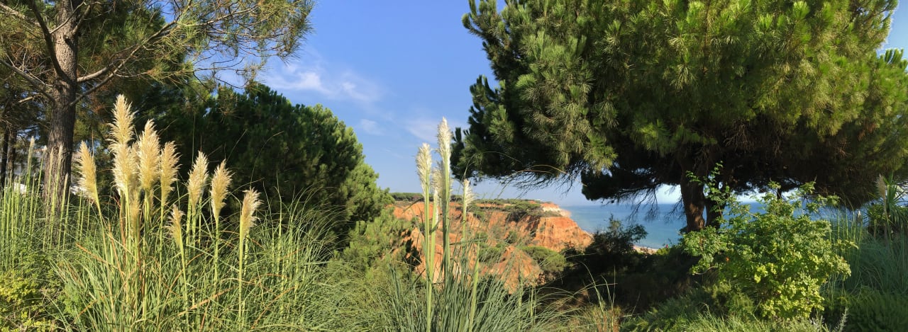 Gartenanlage PortoBay Falésia