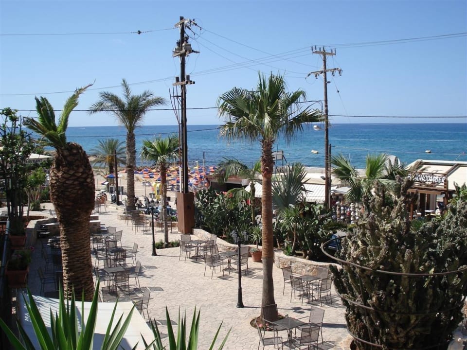 Cactus Beach Cactus Beach