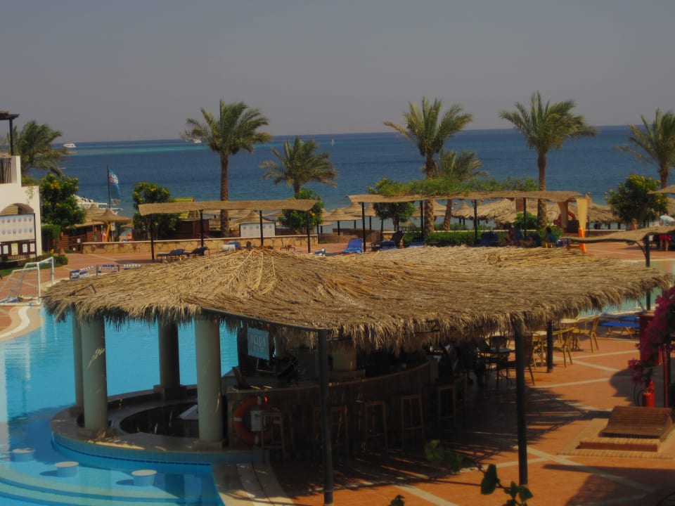 Poolbaar JAZ Dahabeya