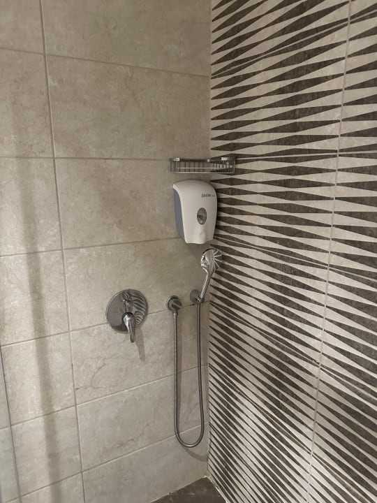 Zimmer Well Palace Side