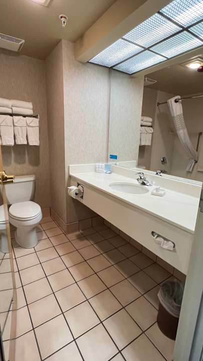 Zimmer Hampton Inn & Suites Dickinson