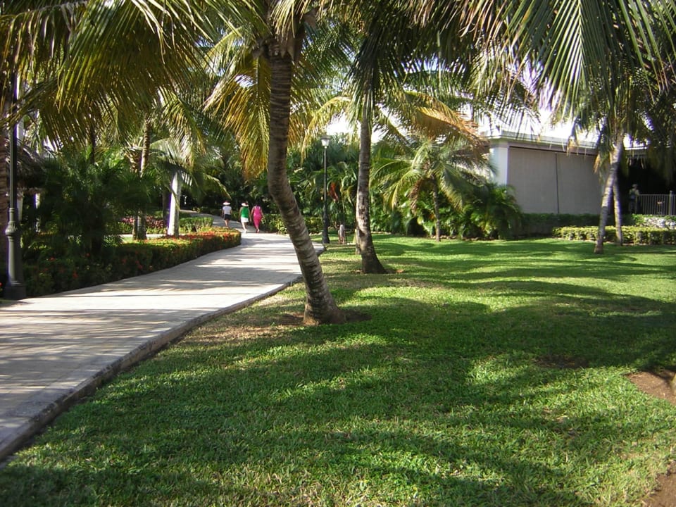 Weg zur Lobby Riu Montego Bay - Adults Only