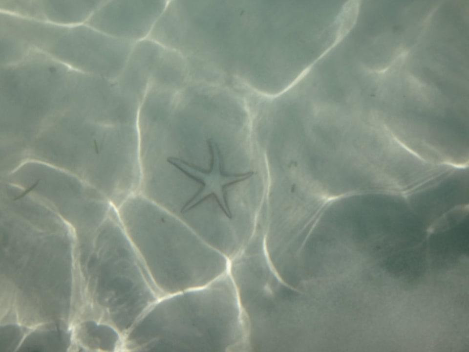 Klares Wasser Iberostar Waves Ciudad Blanca