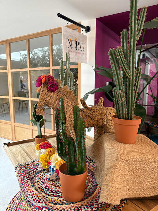 Gastro Iberostar Selection Albufera Park