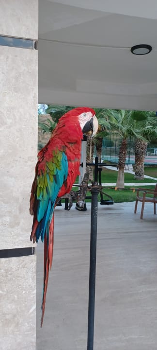 Sonstiges Süral Saray Hotel