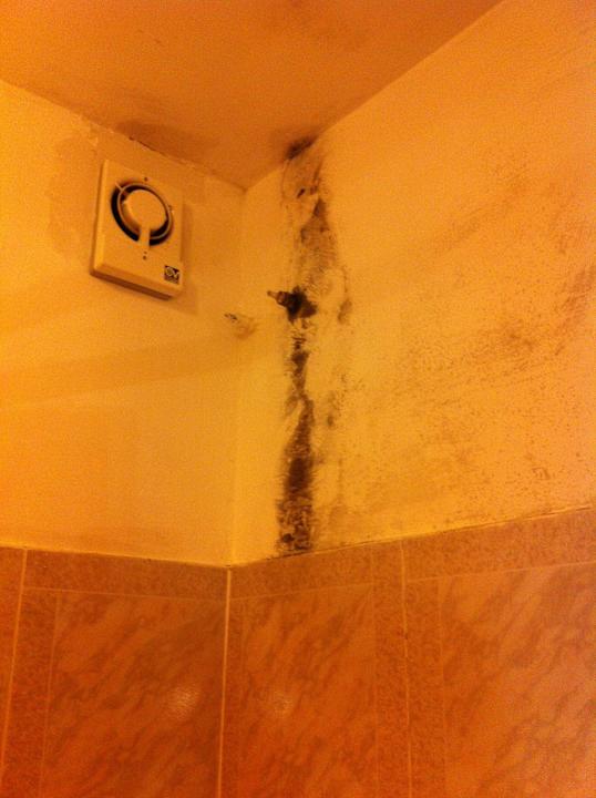 Badezimmer voll Schimmel Hotel Quisisana