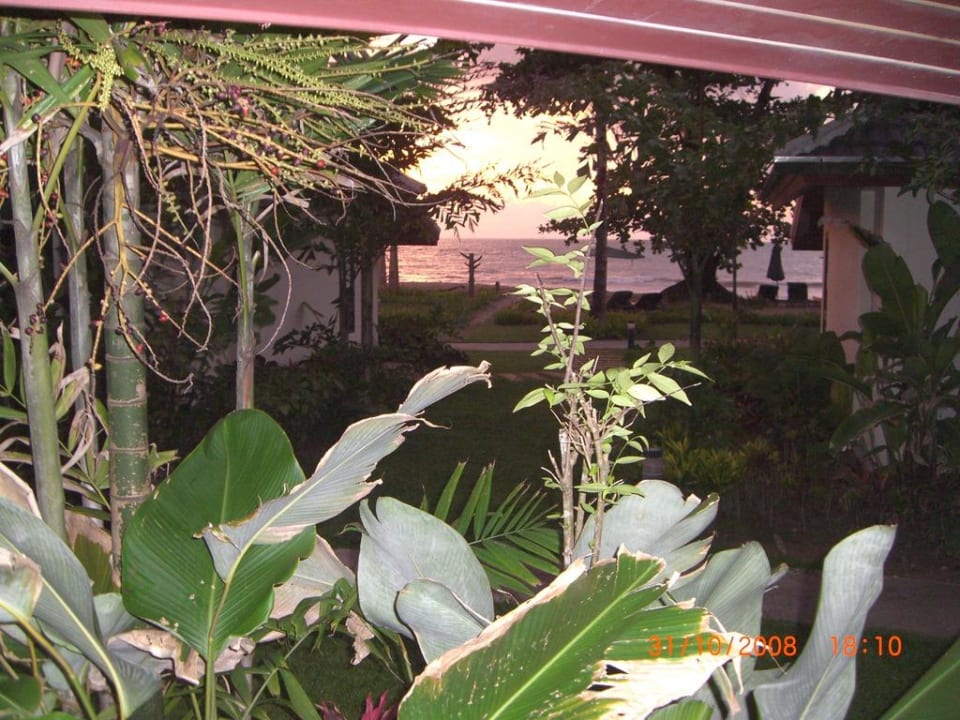 Gartenbungalow-Meerblick Hotel Nangthong Bay Resort