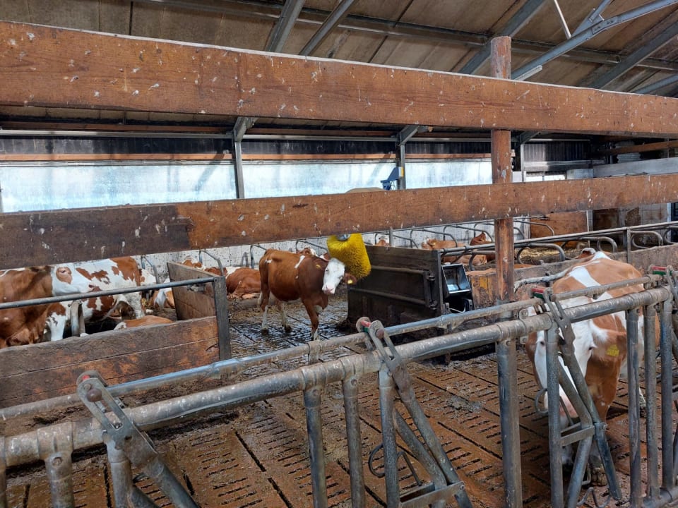 Sonstiges Erlebnisbauernhof Urak