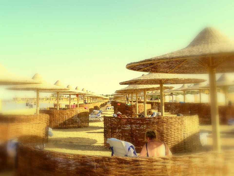 Stella Makadi Stella Beach Resort & Spa Makadi Bay