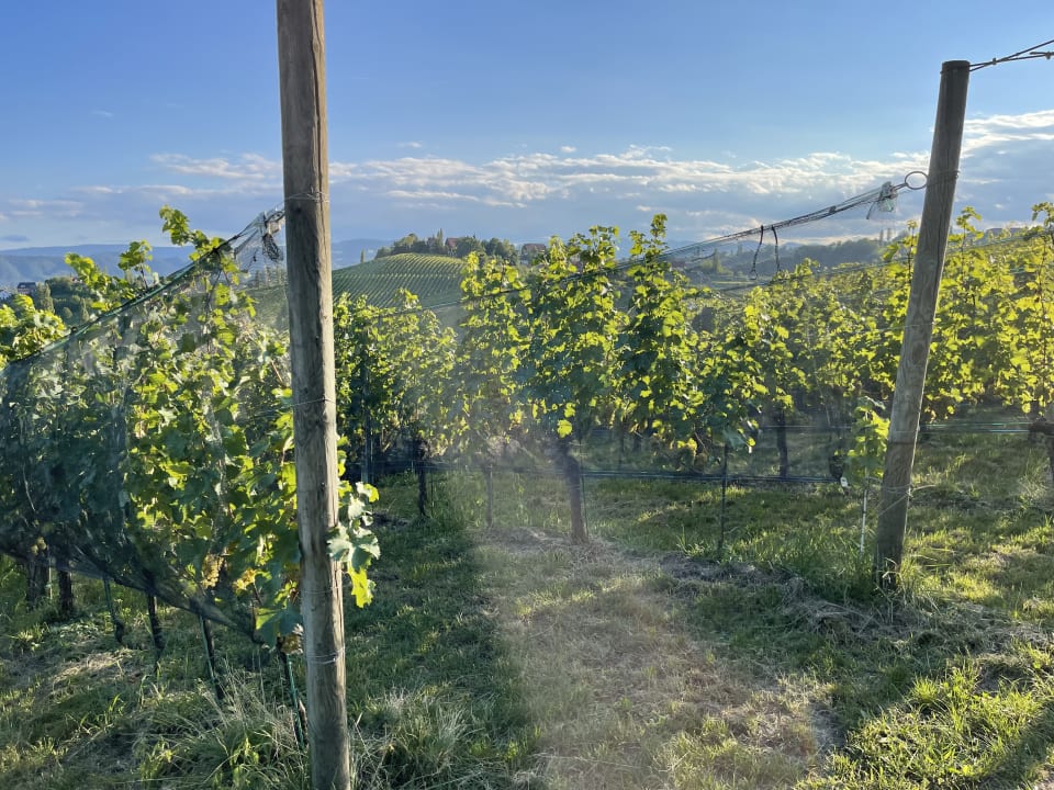 Gartenanlage LOISIUM Wine & Spa Hotel Südsteiermark