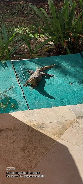 Sonstiges HM Playa Del Carmen