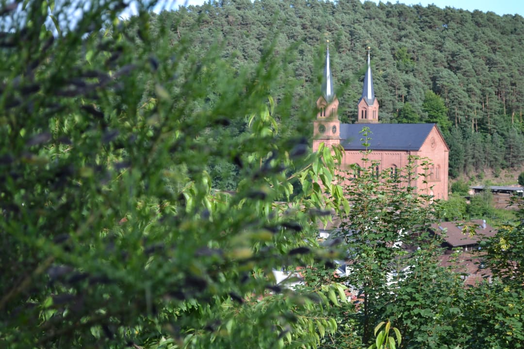 Ausblick Hotel am Hirschhorn