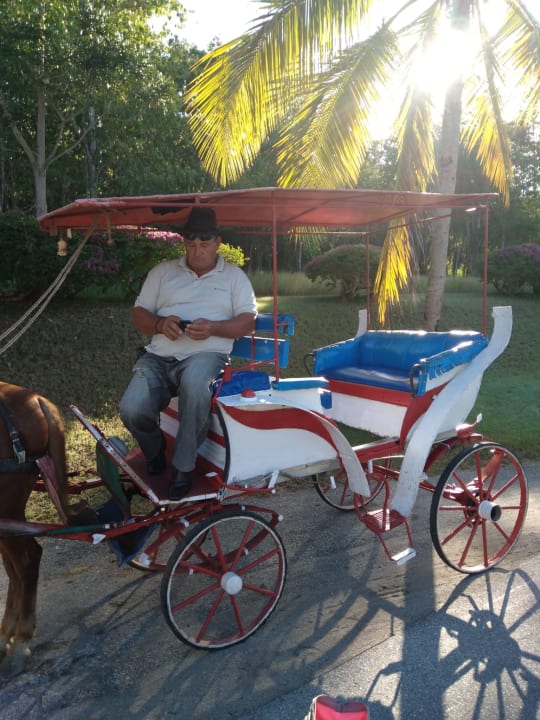 Sonstiges Paradisus Rio de Oro Resort & Spa - Adults only