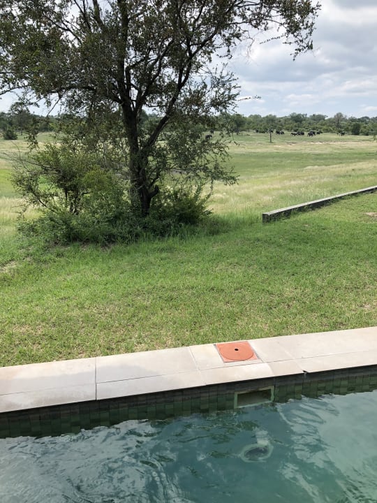 Pool Hotel Arathusa Safari Lodge