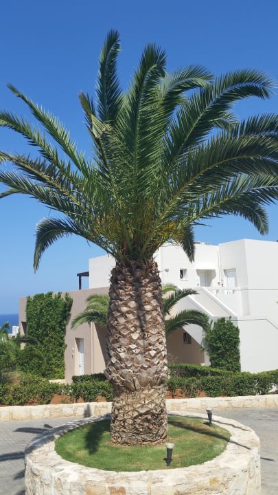 Schöne Anlage  Grand Hotel Holiday Resort