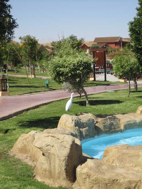 Fauna Pickalbatros Jungle Aqua Park Resort - Neverland Hurghada