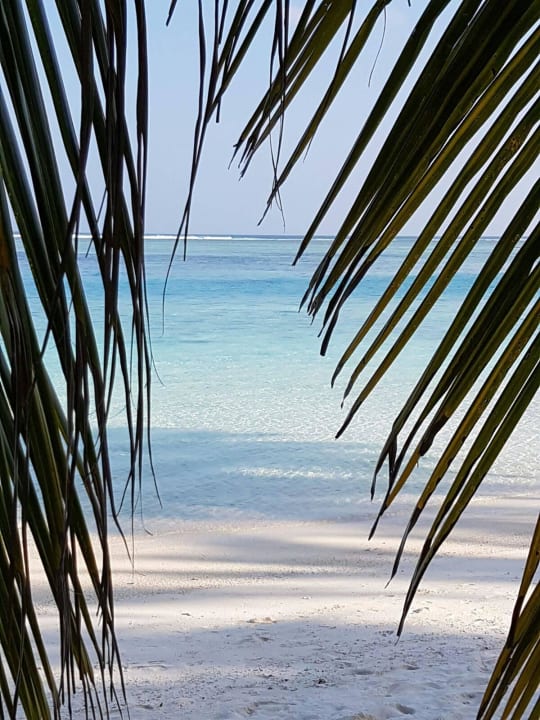 Was gibt es da noch zusagen Meeru Maldives Resort Island