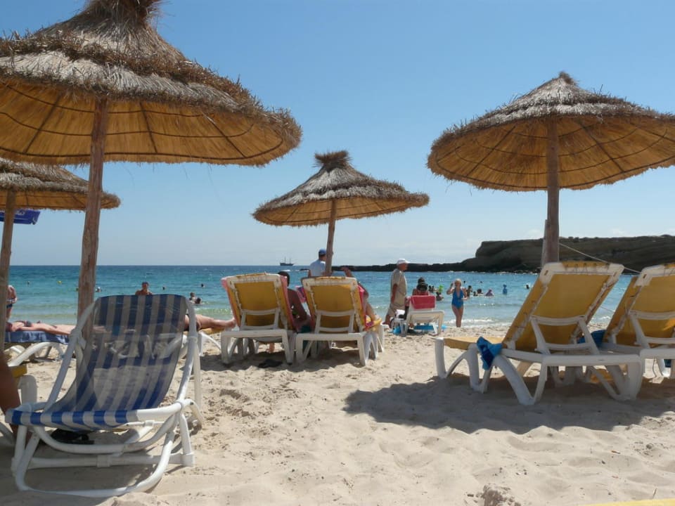 Beach Delphin El Habib