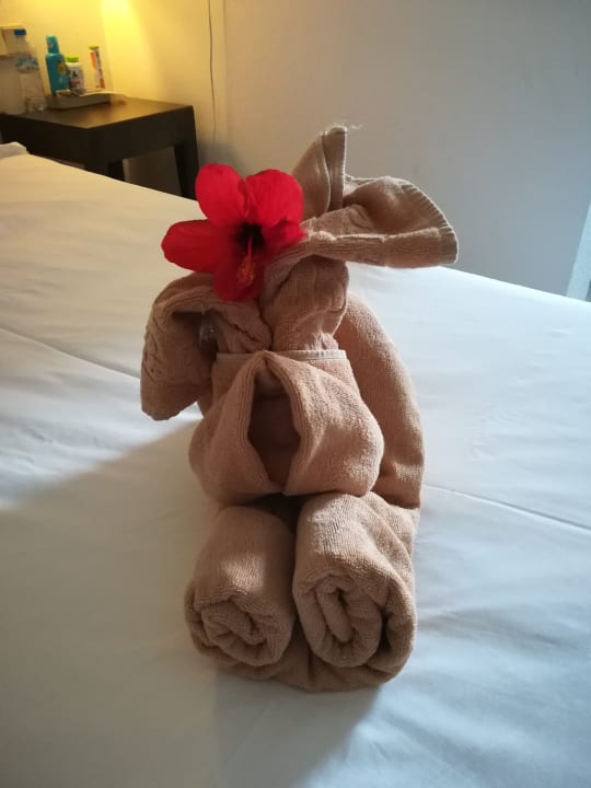 Zimmer SBH Hotel Taro Beach