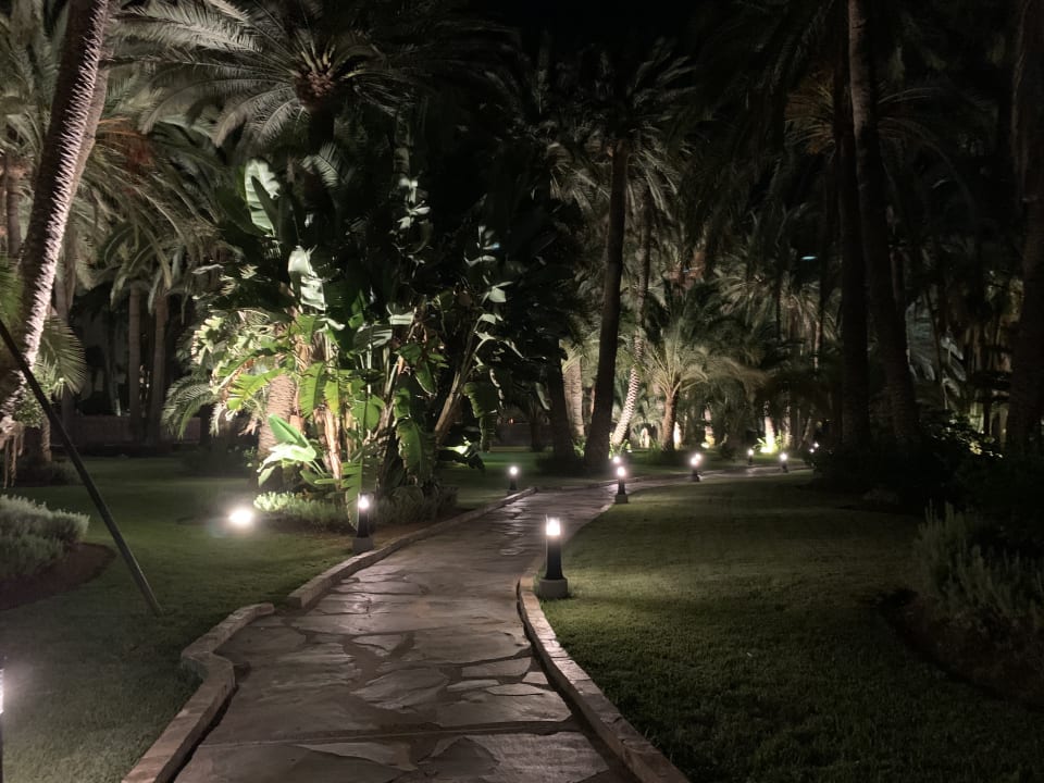 Gartenanlage Hotel Riu Palace Oasis