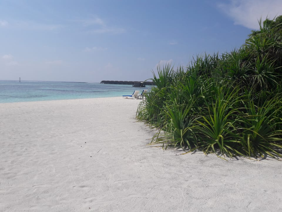 Strand Meeru Maldives Resort Island