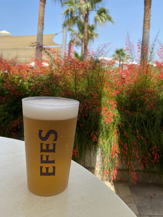 Gastro Sentido Trendy Verbena Beach