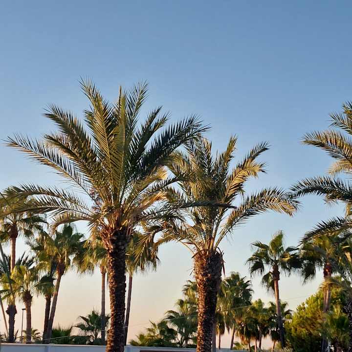 Ausblick Süral Saray Hotel