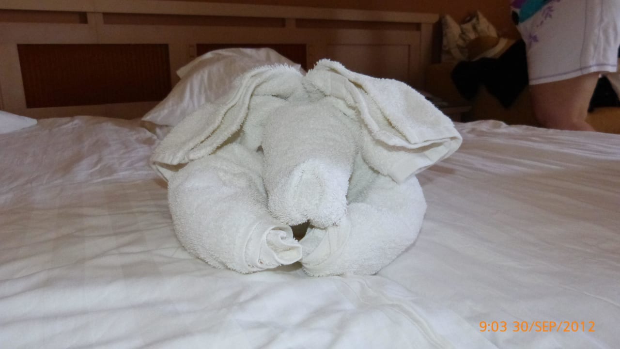 Und der Handtuch-Dackel HVD Clubhotel Miramar