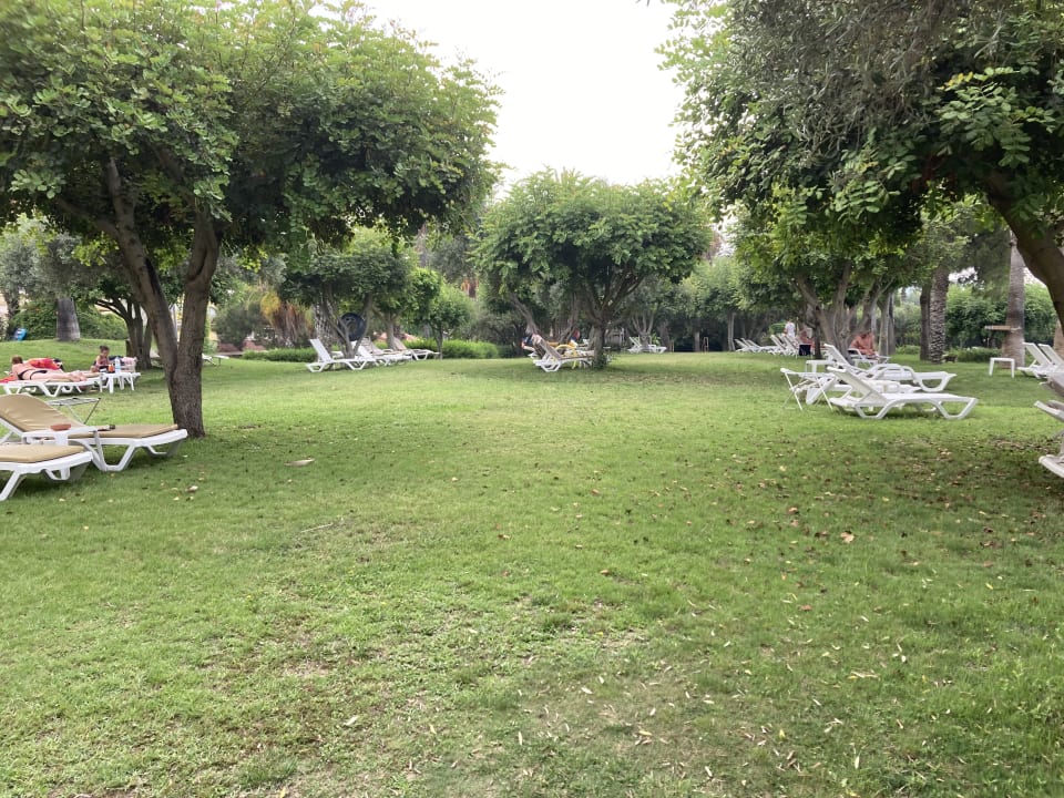 Gartenanlage Hotel Defne Garden