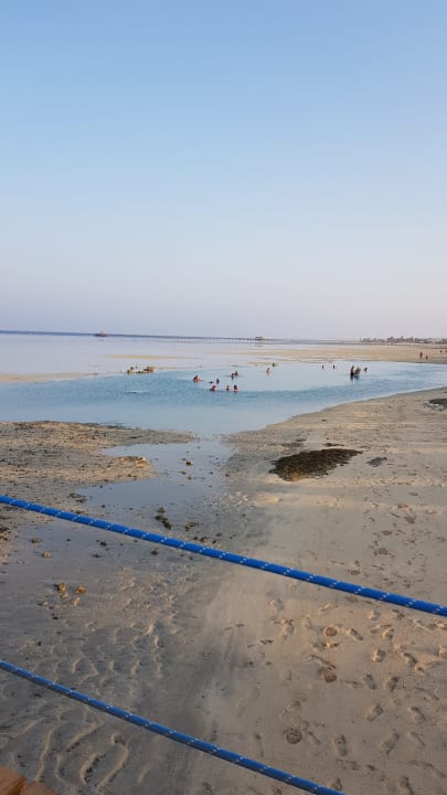 Strand Blue Reef Red Sea Resort