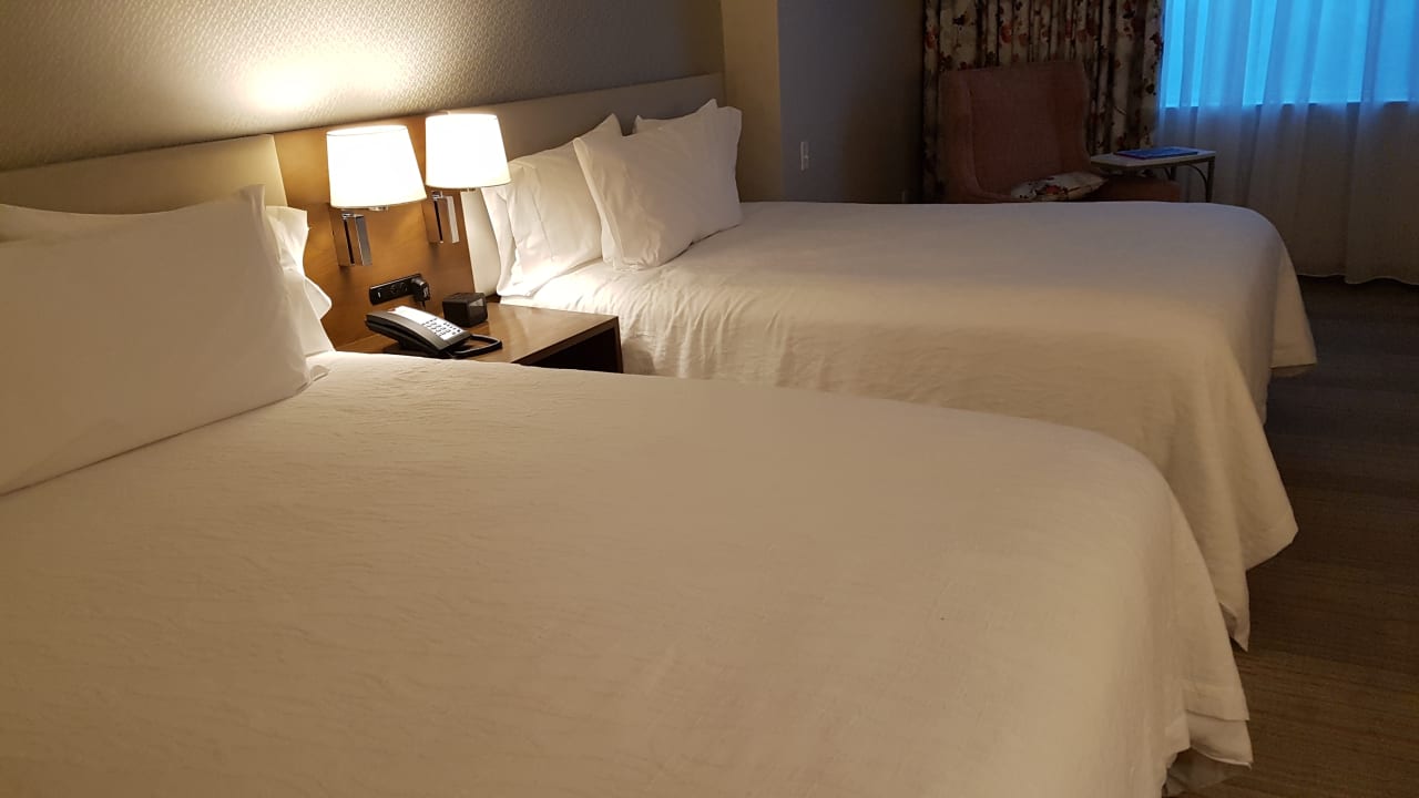 Zimmer Hilton Garden Inn Miami Dolphin Mall