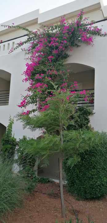 Außenansicht Vantaris Luxury Beach Resort