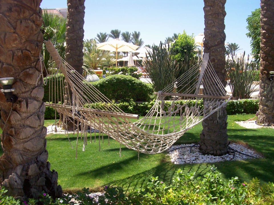 Wenn die Liegen mal knapp sein sollten Premier Le Reve Hotel & Spa